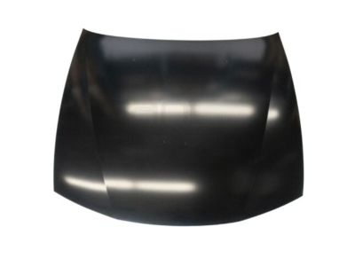 Nissan F5100-81FCM Hood Assembly