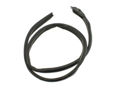 Nissan 76843-2Y010 Weatherstrip-Roof Drip, LH