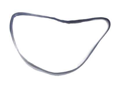 Nissan 76923-8S500 WEATHERSTRIP-Body Side, R