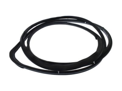 Nissan 80831-3W400 Weatherstrip-Front Door, LH