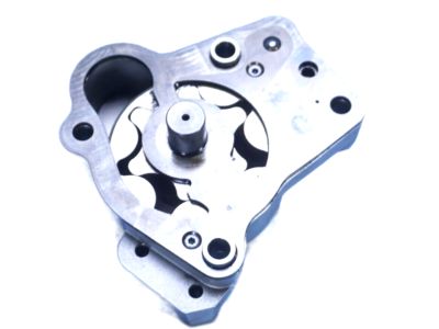 Nissan 15010-EZ40A Oil Pump Assy