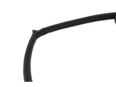 Nissan 80830-ED500 Weatherstrip-Front Door, RH