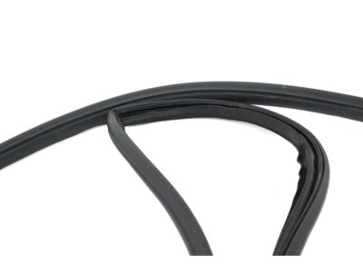 Nissan 80830-ED500 Weatherstrip-Front Door, RH