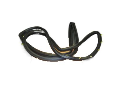 Nissan 82831-7Y000 Weatherstrip-Rear Door, LH