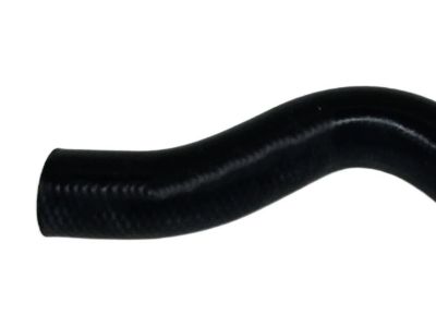 Nissan 21503-01P01 Hose-Lower