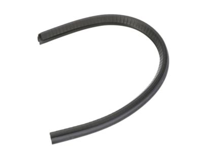 Nissan 82838-ZS50A Seal-Rear Door Partition, RH