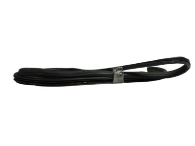 Nissan 80830-9KE1A Weatherstrip-Front Door, RH