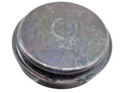 Nissan 40234-0P000 Cap-Hub, Front Wheel