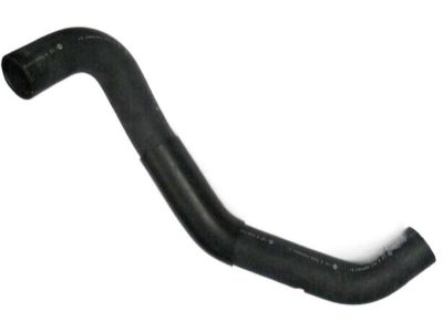 Nissan 21503-EV00A Hose-Radiator, Lower