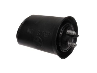 Nissan 908A0-1PA0A Stopper-Back Door, RH