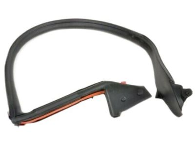 Nissan 76860-CD000 Weatherstrip-Body Side, RH