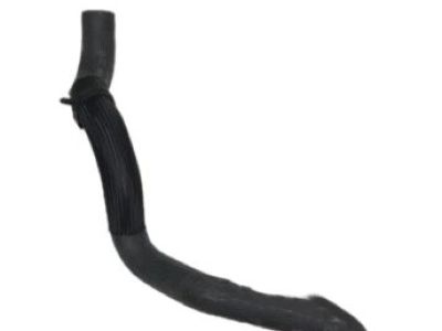 Nissan 21503-EA200 Hose-Radiator, Lower