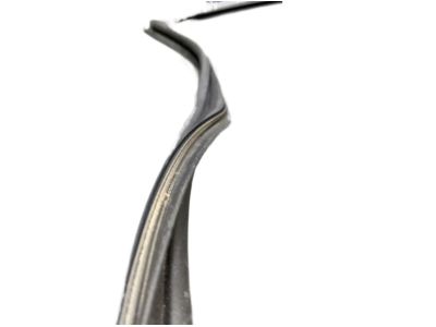 Nissan 80830-9HS0B W/STRP Fr Dr RH