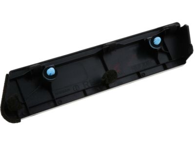 Nissan 63870-3LM0A FINISHER-Body Side, RH