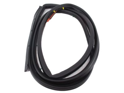 Nissan 82830-3SG0A Weatherstrip-Rear Door, RH