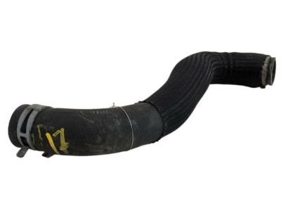 Nissan 21503-5AA0A Hose-Radiator, Lower