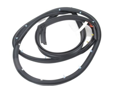 Nissan 82831-3SG0A Weatherstrip-Rear Door, LH