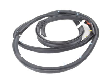 Nissan 82831-3SG0A Weatherstrip-Rear Door, LH