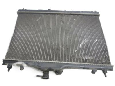 Nissan 21460-ZW40B Radiator Assy