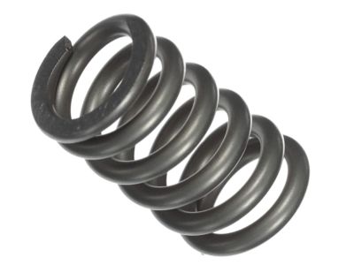 Nissan 20074-8H30A Spring-Special