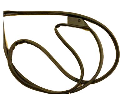 Nissan 80830-3SG0A Weatherstrip-Front Door, RH