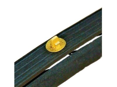 Nissan 80830-3SG0A Weatherstrip-Front Door, RH