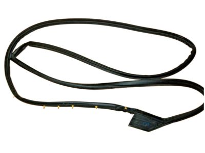 Nissan 80830-3SG0A Weatherstrip-Front Door, RH
