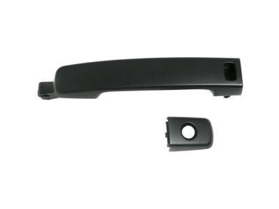 Nissan 80607-JA59A Front Outside Door Handle Assembly, Left