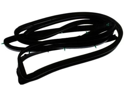 Nissan 82831-3Z600 Weatherstrip-Rear Door, LH