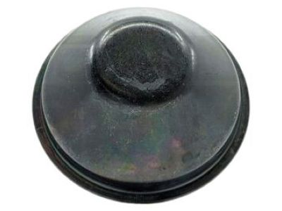 Infiniti 43234-50A05 Cap-Hub Rear Wheel