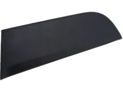 Nissan 822D2-ZJ60A Protector-Rear Door, RH