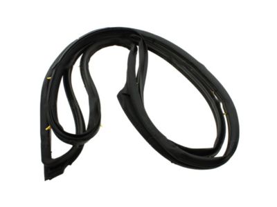 Nissan 80831-JA01A Weatherstrip-Front Door, LH