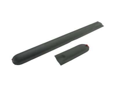Nissan 999G2-KR00102 Body Side Molding - Black(Passenger Side)