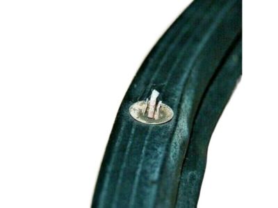 Nissan 80831-3SG0A Weatherstrip-Front Door, LH
