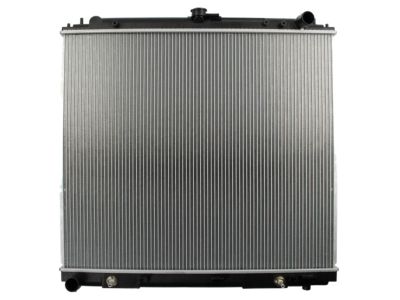 Nissan 21460-9CA2E Radiator Assy