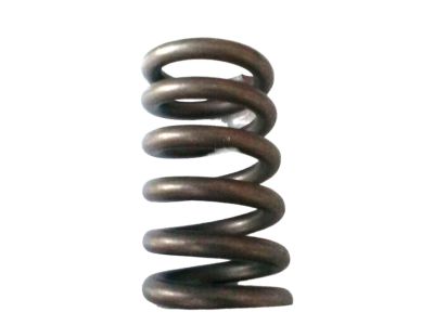 Nissan 20074-8H315 Spring-Special