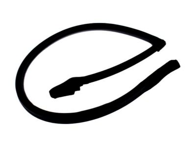 Nissan 76861-35F00 Weatherstrip-Body Side, LH