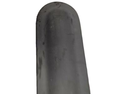 Nissan 82870-EA000 Moulding-Rear Door, RH