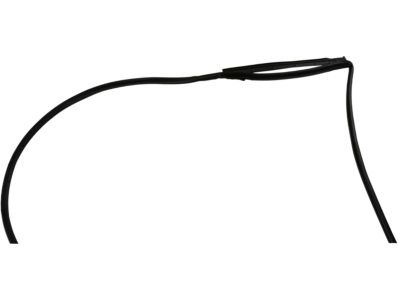 Nissan 82830-7Z000 Weatherstrip-Rear Door, RH