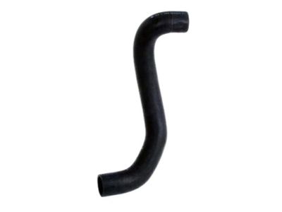 Nissan 21503-5Y700 Hose-Radiator, Lower