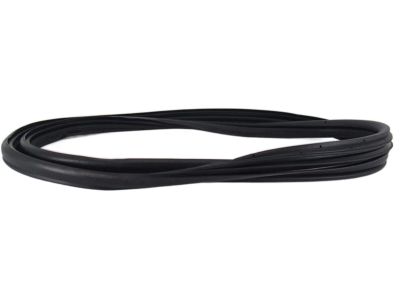 Nissan 76922-ZS50B Weatherstrip-Body Side, LH