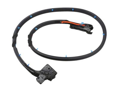 Nissan 80831-CE401 Weatherstrip-Front Door, LH