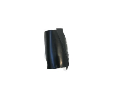 Nissan 80819-3SG1A Tape-Front Door Sash Rear, LH