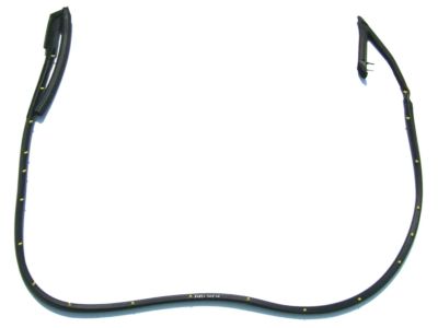 Nissan 80830-30P00 Weatherstrip-Front Door, RH