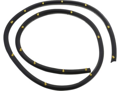 Nissan 80831-4Z300 Weatherstrip-Front Door, LH