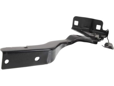 Nissan 65400-3SG0A Hinge Assembly-Hood, RH