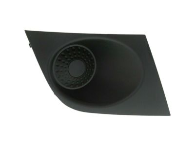 Nissan 62256-EM30A FINISHER-Front FASCIA, RH