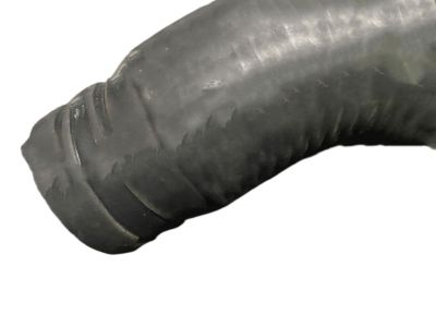 Nissan 21501-8J100 Hose-Radiator, Upper