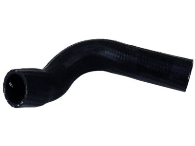 Nissan 21503-09G00 Hose-Bottom