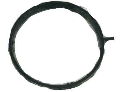 Nissan 16175-JG30A Gasket-Adapter